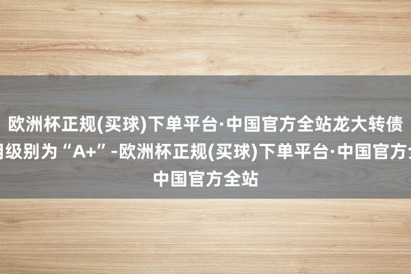 欧洲杯正规(买球)下单平台·中国官方全站龙大转债信用级别为“A+”-欧洲杯正规(买球)下单平台·中国官方全站