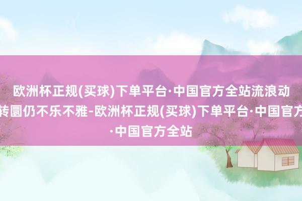 欧洲杯正规(买球)下单平台·中国官方全站流浪动物的转圜仍不乐不雅-欧洲杯正规(买球)下单平台·中国官方全站