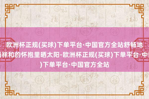 欧洲杯正规(买球)下单平台·中国官方全站舒畅地依偎在姆妈祥和的怀抱里晒太阳-欧洲杯正规(买球)下单平台·中国官方全站