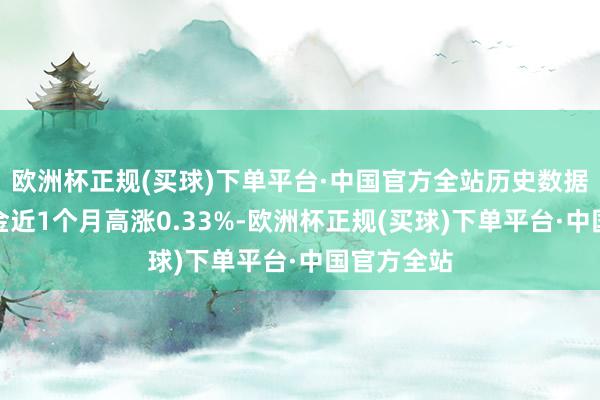 欧洲杯正规(买球)下单平台·中国官方全站历史数据裸露该基金近1个月高涨0.33%-欧洲杯正规(买球)下单平台·中国官方全站