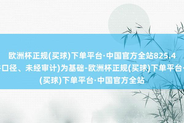 欧洲杯正规(买球)下单平台·中国官方全站825.4077万元(归并口径、未经审计)为基础-欧洲杯正规(买球)下单平台·中国官方全站