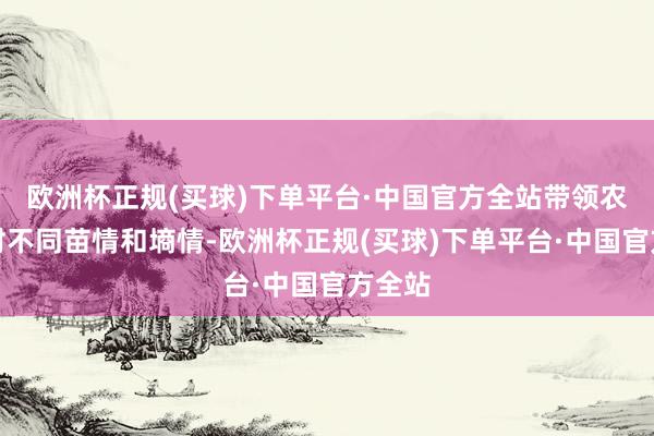 欧洲杯正规(买球)下单平台·中国官方全站带领农民针对不同苗情和墒情-欧洲杯正规(买球)下单平台·中国官方全站